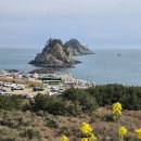 이기대공원(공룡발자국 앞) | [부산] 2026, 부산 … 6. 이기대 해안산책로