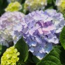 함성(함께 읽고 성장하는) 독서토론 이미지