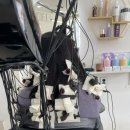 정아미용실 이미지