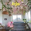 이디오랜 이미지