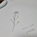 야생화꽃자수 이미지