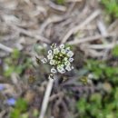 연지공원역 이미지