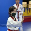 SOO태권도장 이미지