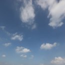 푸른하늘 이미지