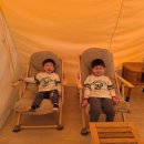 해룡로 | [가족여행] 경기 아이와 갈만한 곳 캠핑장 글램핑 세븐블럭 솔직 후기