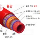 혈관구조 림프연결 순환관계 이미지