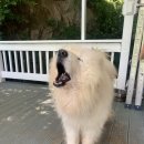 줄라이모닝 이미지