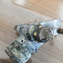 서울부란자 이미지