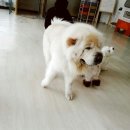 멍스타 - 김포시 율마로438번길 34-48 | 멍스타