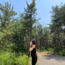 이마트24 건너편 공터 이미지