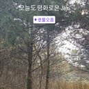 영수목장 이미지