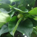 아림농장 이미지