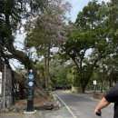 초록코끼리(주) | 방콕 아이랑 6박 8일 셋째날 카오키여우 오픈주 방문 후기