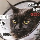 김통영해병수학학원