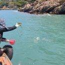 수산1구 이미지