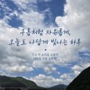 함초롱