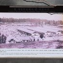 3.1만세운동길 이미지