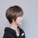 컷트의 성지