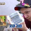 오징어 와 친구들 이미지