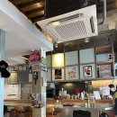 스페셜바디 레이디 이미지