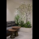 시연의원 | [강남역 강남 피부과 추천] 오앤의원 오앤의원, 전문의가 직접 시술하는 곳