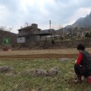 광희농장 이미지