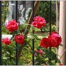 옥산자이공인중개사사무소 이미지