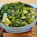 소이네 닭장 | 나트랑 태교여행 : 퓨전리조트 조식 Fresh 레스토랑 후기