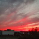 나를 위해 살아봅시다 이미지