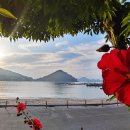 설리어촌체험마을 이미지