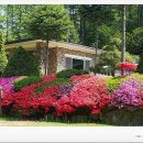 다락산장 이미지