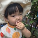 광릉어린이집 | 가평 ㅣ 어린이집 봉사 &amp; 아침고요수목원 &amp; 동물