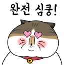 여수공인중개사사무소 이미지