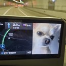 이마트24 대림다사랑점 | 엄마 등장 50일 전