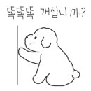 대흥동물병원 네이버블로그
