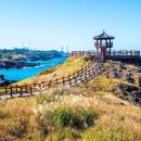 닭머르해안길 이미지