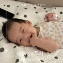 스테이 노네 | [4개월 아기 육아일기] 25.07.14~25.07.17 | 19주 차(1) | 4개월 원더 윅스, 이앓이