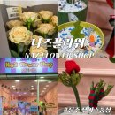 나즈플라워 이미지