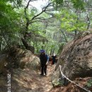 견훤산성(상주) 답사 결과(1) (14-19차 : 연번 210회차) 이미지