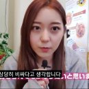 김밥매니아 이미지