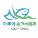동백건강원