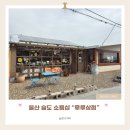 뽑기상점 | 울산 루루상점 슬도 감성 캐릭터 소품샵