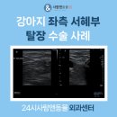 성복동물병원 이미지