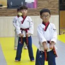 성덕태권도 이미지