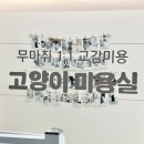 온리애옹 이미지