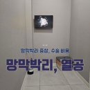 눈이 번쩍번쩍! 레이저 치료 후기 "망막박리" 금액, 비용, 실비, 증상