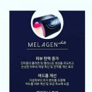 화이트앤케어