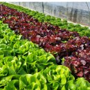 온누리축산 주식회사 이미지