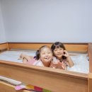 숲소리 유치원 | 낮은벙커침대 유아 키즈 벙커침대 추천 여자 아이 원목침대 숲소리 후기