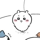 시우